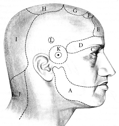 zonele capului pentru masaj ayurvedic